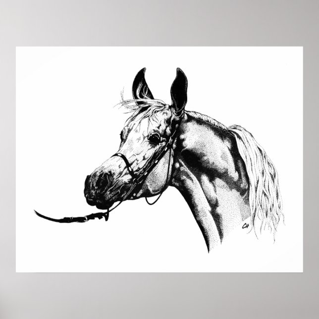 Arabian portrait in Pen & Ink Poster (Front)