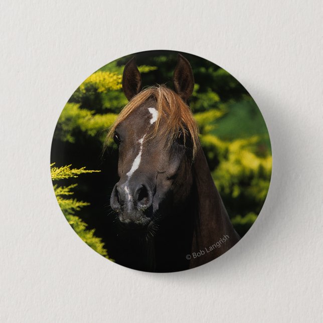 Arabian Stallion 6 Cm Round Badge (Front)