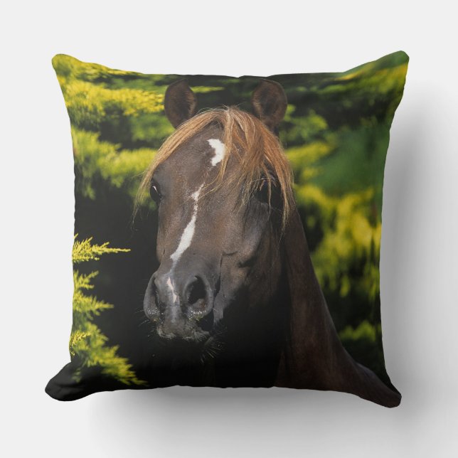 Arabian Stallion Cushion (Front)