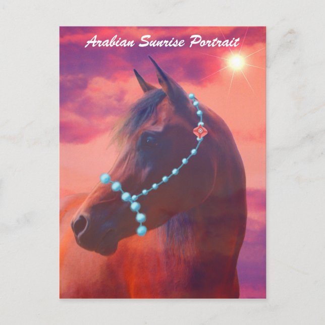 Arabian Sunrise Portrait Postcard (Front)