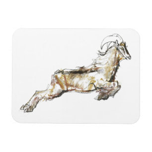 Arabian Tahr 2009 Magnet
