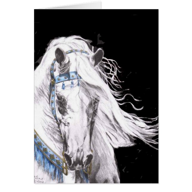 "Arabian White" (Front)