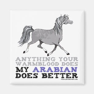 Arabians Do It Better Magnet