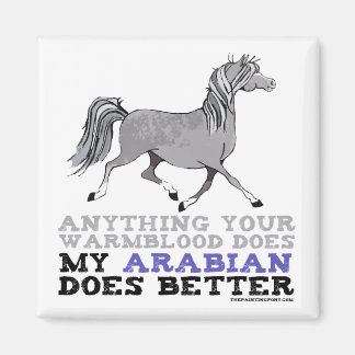 Arabians Do It Better Magnet