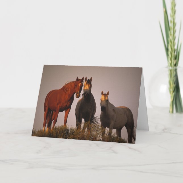 Arabs at Sunset Card (Front)