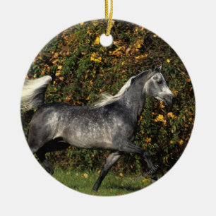 Arabs Running: Autumn Ceramic Tree Decoration