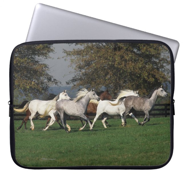 Arabs Running in Field Laptop Sleeve (Front)
