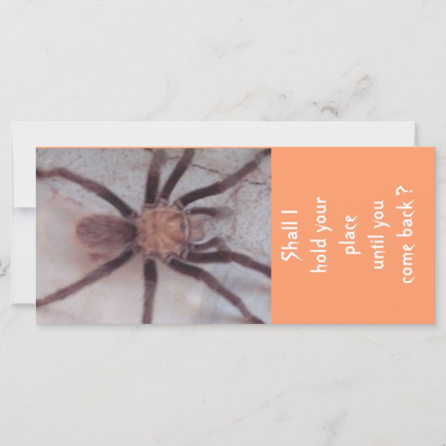 Arachnid Association Bookmark (Front)