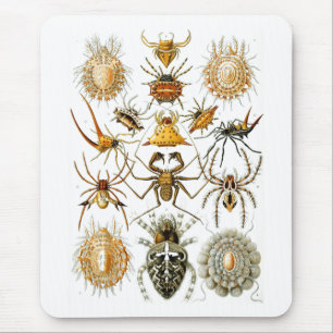 Arachnida (Spiders), Ernst Haeckel Fine Art Mouse Pad