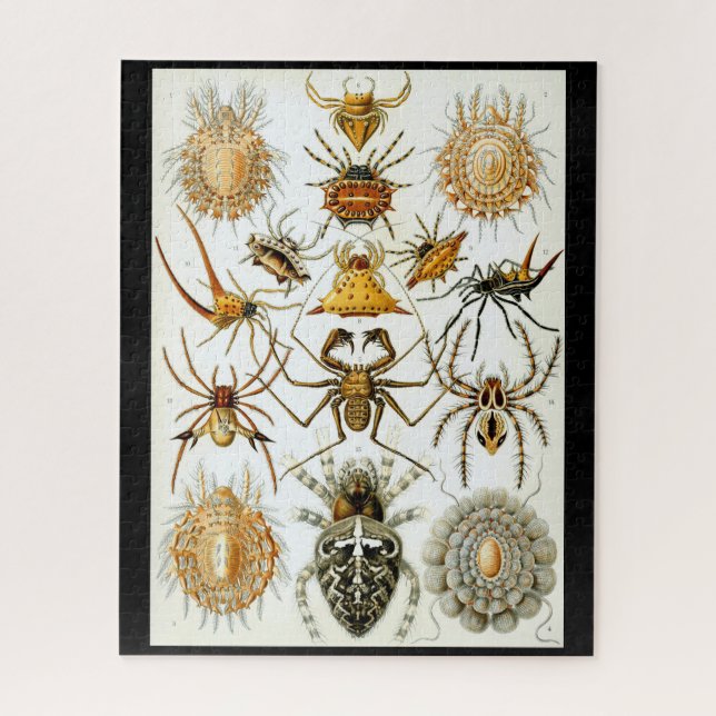 Arachnids by Haeckel vintage spider illustration  Jigsaw Puzzle (Vertical)