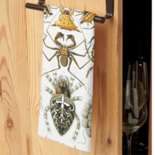 Arachnids by Haeckel vintage spider illustration Tea Towel