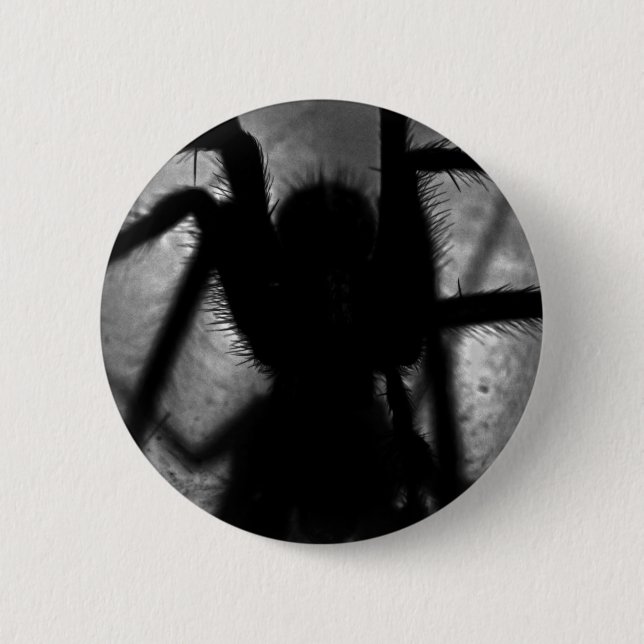 Arachnophobia... 6 Cm Round Badge (Front)