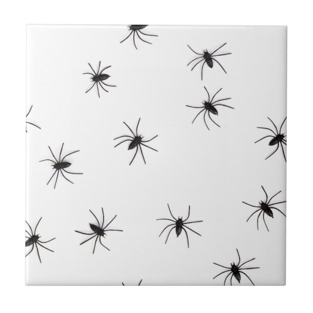 Arachnophobia (Spiders) (Creepy Crawly Insects) Tile (Front)