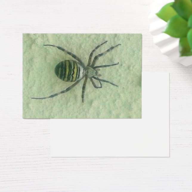 Araignee spider (Desk)