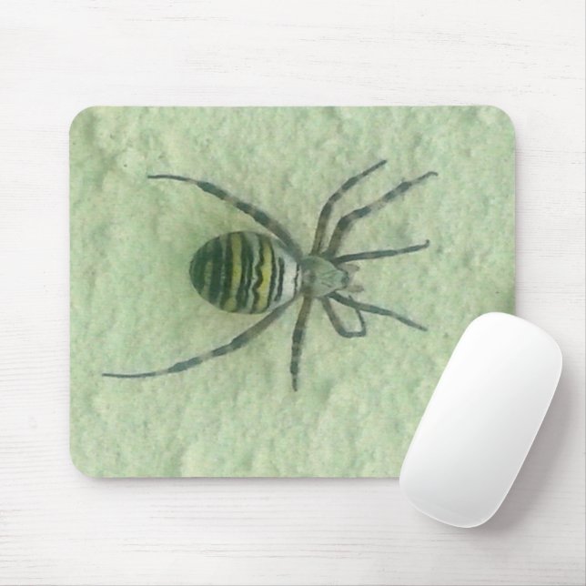 Araignee spider mouse pad (With Mouse)