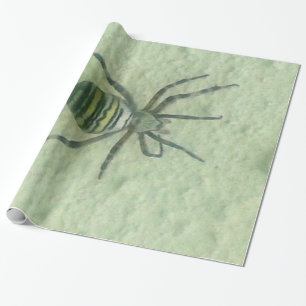 Araignee spider wrapping paper