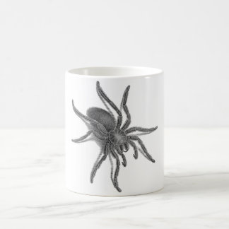 Aranea Avicularia, Black Cuban Spider Coffee Mug