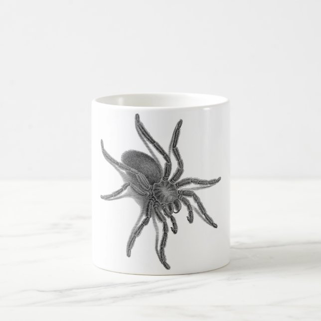 Aranea Avicularia, Black Cuban Spider Coffee Mug (Center)