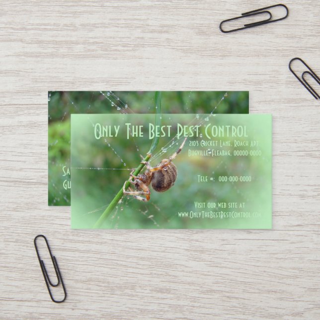 Araneus - Orb Weaver Spider Business Card (Front/Back In Situ)