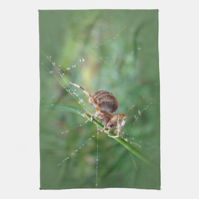Araneus - Orb Weaver Spider Tea Towel (Vertical)