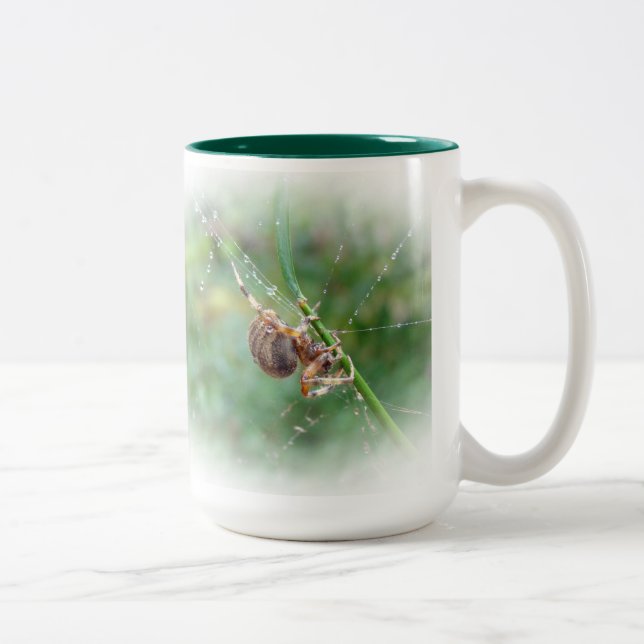 Araneus - Orb Weaver Spider Two-Tone Coffee Mug (Right)