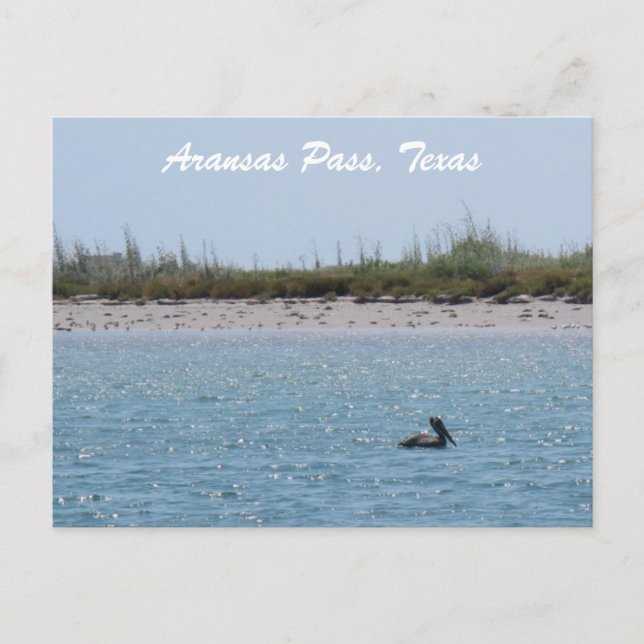 Aransas Pass Texas Coast Postcad with Pelican Postcard (Front)
