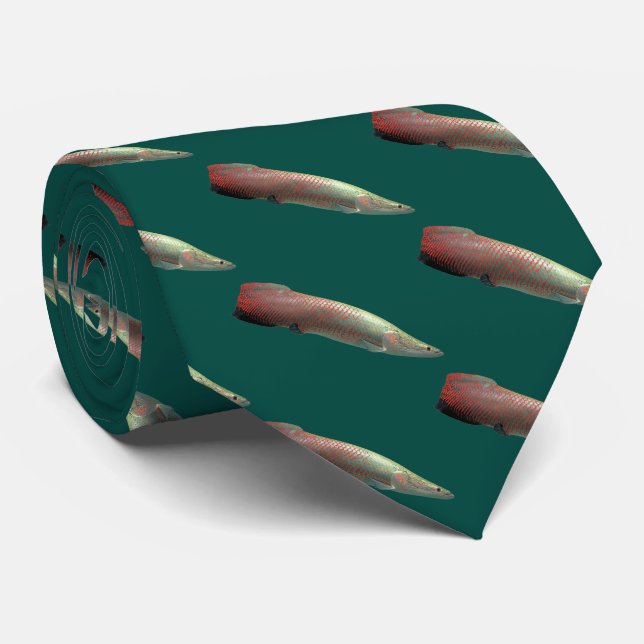 Arapaima gigas tie (Rolled)