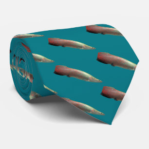 Arapaima gigas tie