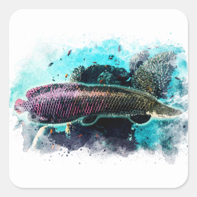 Arapaima Monster Fish Watercolor Pirarucu Paiche Square Sticker (Front)