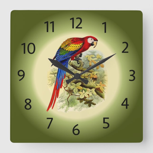 Arara macao - Ara macao - Scarlet Macaw - ~ Square Wall Clock (Front)
