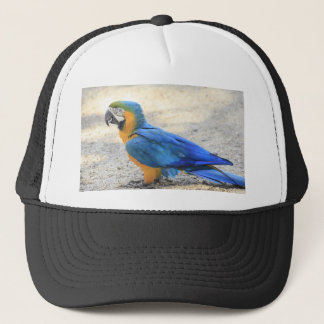Arara, the real Carioca, Rio de Janeiro Citizen Trucker Hat
