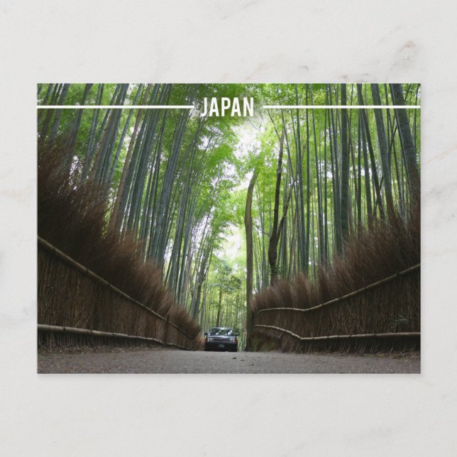 Arashiyama Bamboo Forest, Kyoto Japan Postcard (Front)