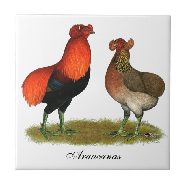 Araucana Red Pair Tile (Front)