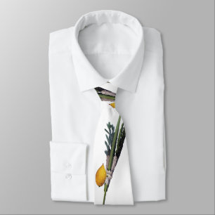 Arba Minim - Lulav, Esrog, Hadas, & Aravah Tie
