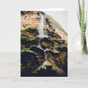 Arbol De Navidad In Sumidero Canyon Holiday Card