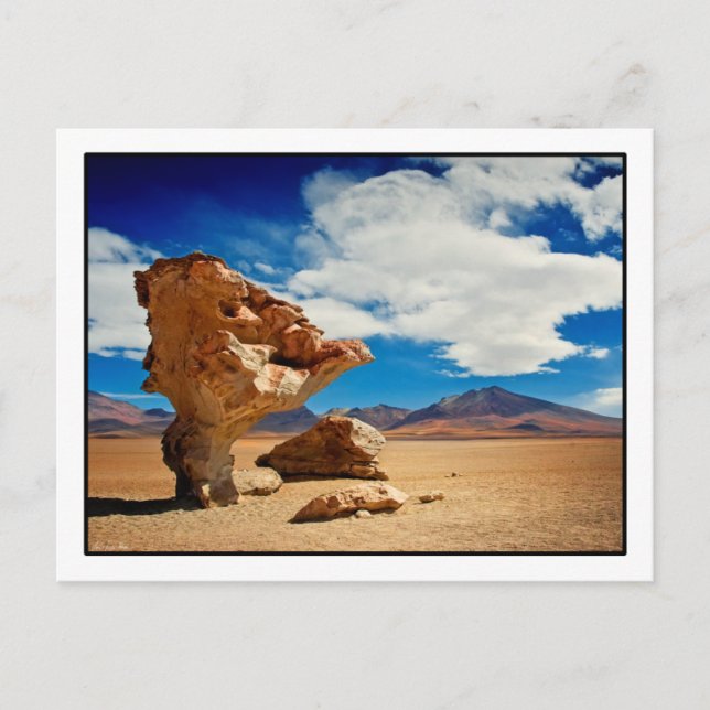 Árbol de Piedra Postcard (Front)