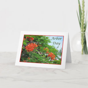 Arbor Day Card Red Flame Tree