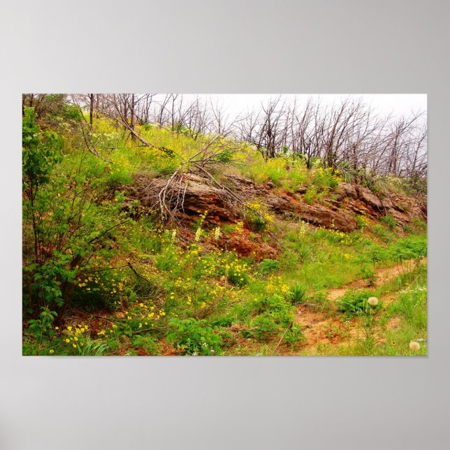 Arbuckles after Fire Poster (Front)