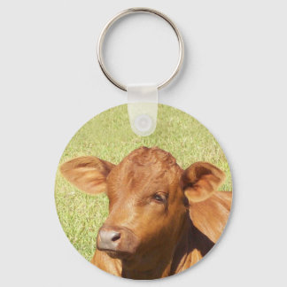 arby key ring