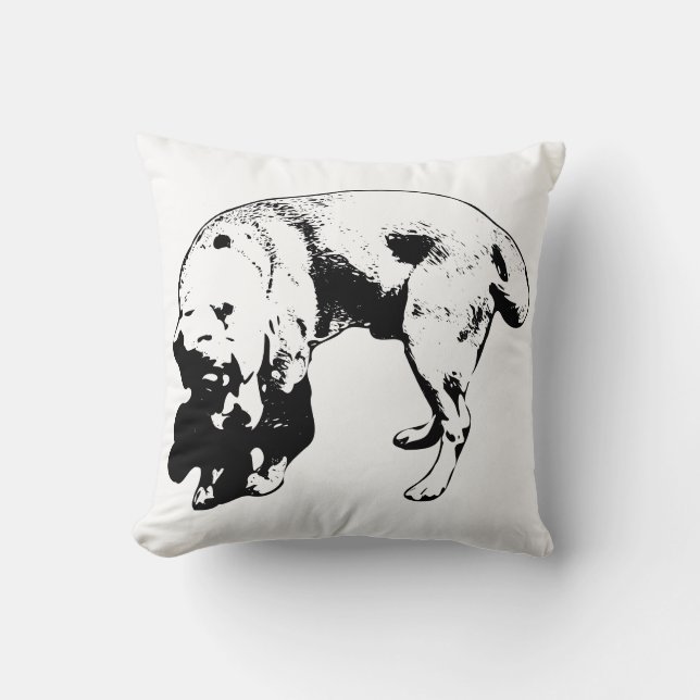 Arc of Calm Cushion (Front)