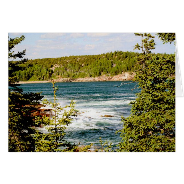 Arcadia National Park Through the Trees (Front Horizontal)