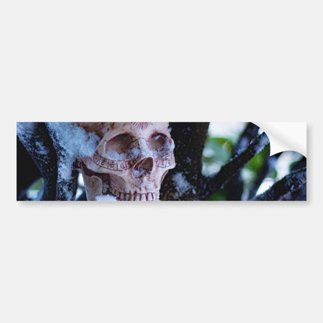 Arcane Winter I Bumper Sticker (Front)