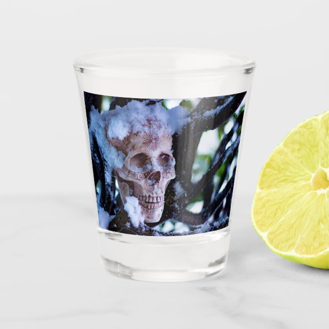 Arcane Winter I Shot Glass (Front)