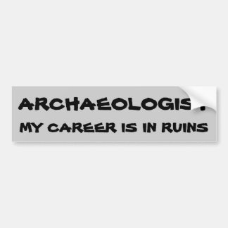 Archaeologist Pun. Career In Ruins Bumper Sticker