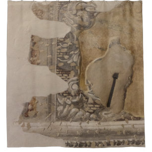 Archaeology Shower Curtain