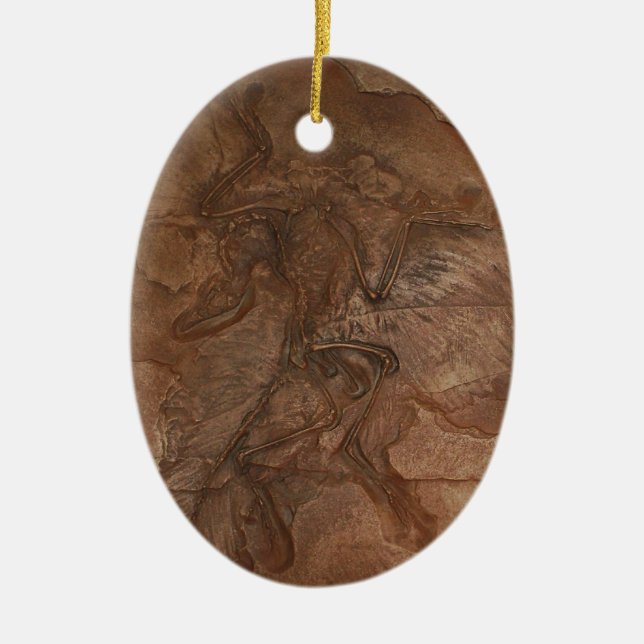 Archaeopteryx fossil - Ornament (Front)