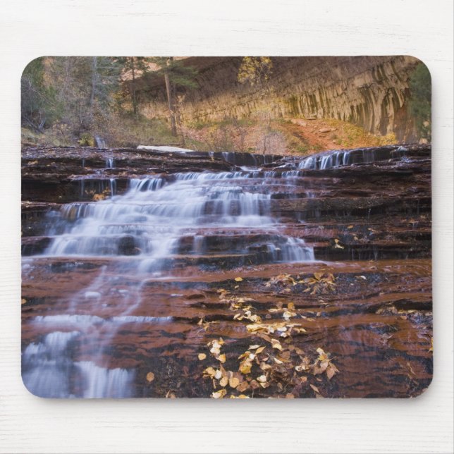 Archangel cascades in the Left Fork of the Mouse Pad (Front)