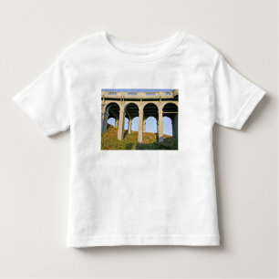 Arched supports Patterson Memorial Bridge Toddler T-Shirt