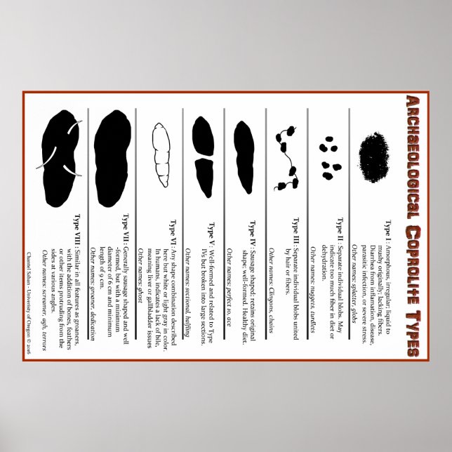 Archeological Coprolite Types Poster (Front)