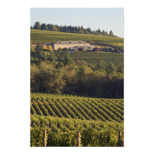 Archery Summit tan building sits atop hill Photo Print